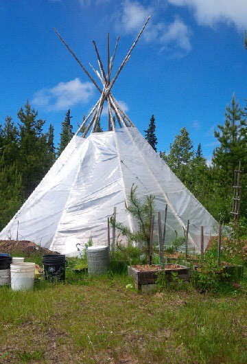 a large white tipi in the forest
