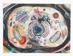 Abounding mirth of the innermost being [art original] / Kamryn Rai. ©2022. media: charcoal, coloured pencil, watercolour, black and white conte, graphite pencil ; 22 inches x 30 inches (27 inches x 34 inches, framed).