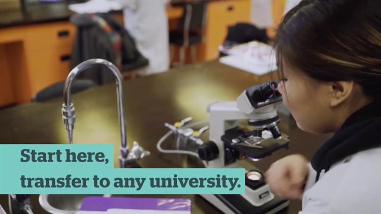 susca_landing_page_video